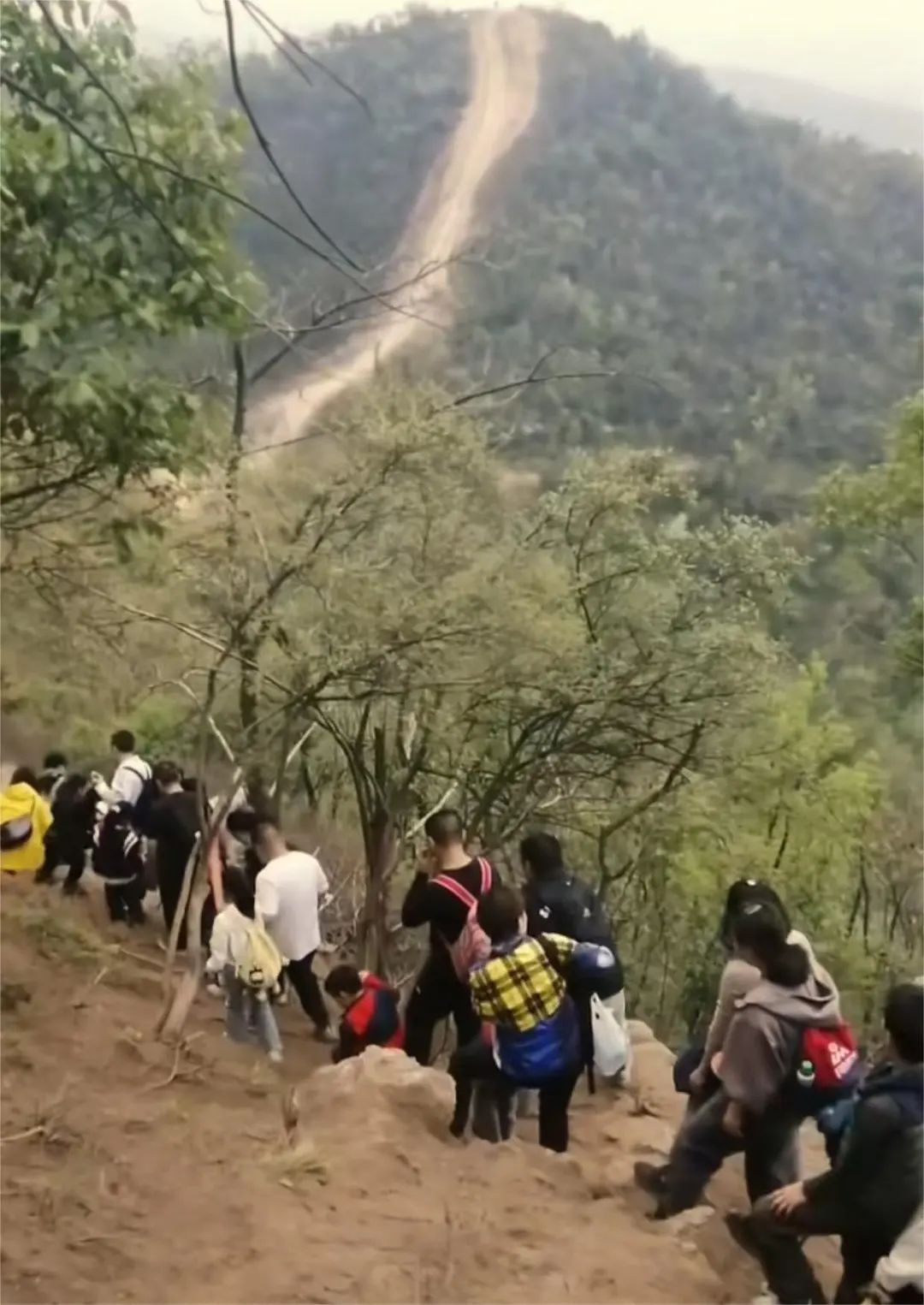 DƬ